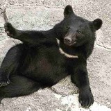 Ҋ@̒sǂɔY܂Ă邱Ƃ