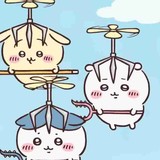 備蓄米、小売業者へ引き渡し開始　週明けにも店頭に、5キロ2千円